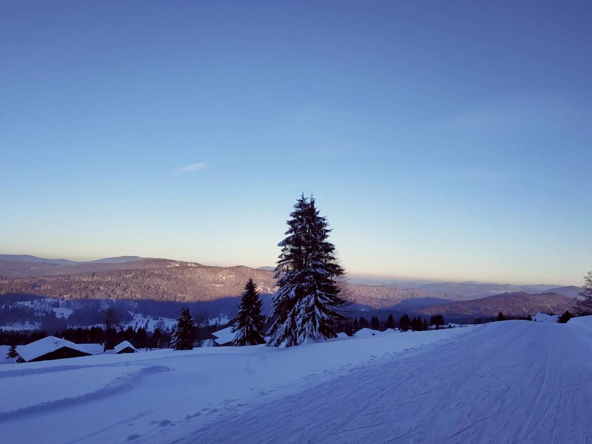Winterwohnung Almberg มิทเทอร์ฟีร์มิอันส์รอยท์ ภายนอก รูปภาพ