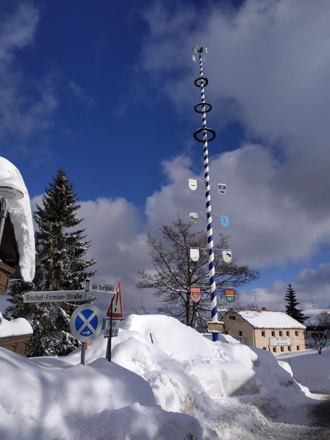 Winterwohnung Almberg มิทเทอร์ฟีร์มิอันส์รอยท์ ภายนอก รูปภาพ