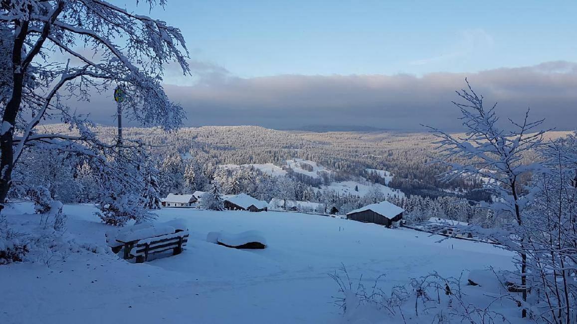 Winterwohnung Almberg มิทเทอร์ฟีร์มิอันส์รอยท์ ภายนอก รูปภาพ