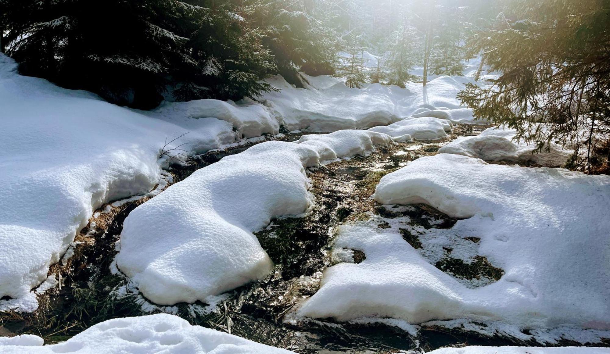 Winterwohnung Almberg มิทเทอร์ฟีร์มิอันส์รอยท์ ภายนอก รูปภาพ
